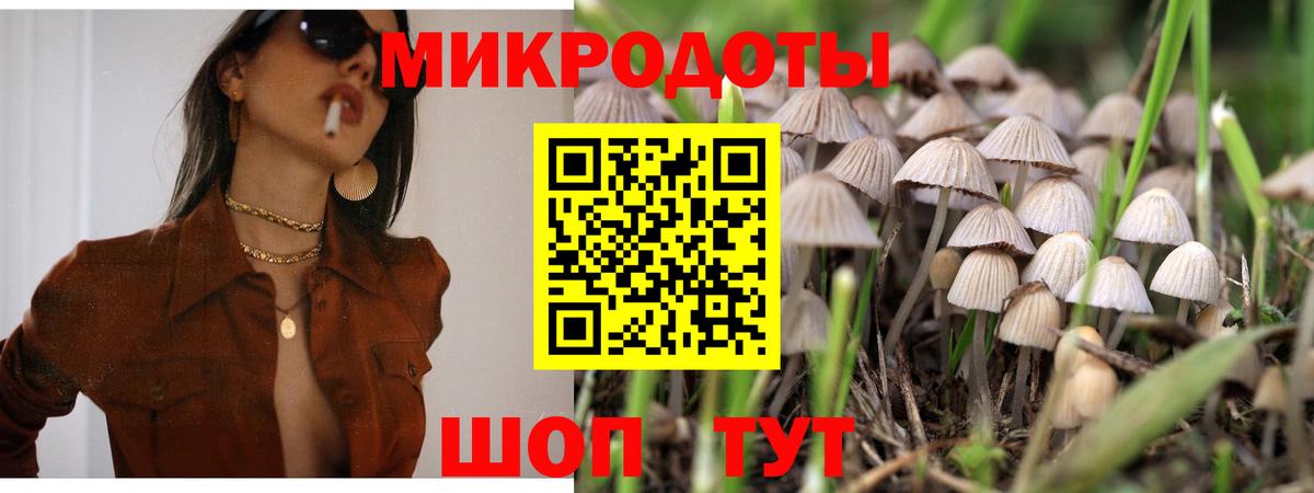 Галлюциногенные грибы Psilocybine cubensis  Вход с VPN  Ливны 